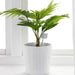 Animal-Inspired Smart Plant Watering System for Lush Gardens - Large Capacity and Stylish Design
