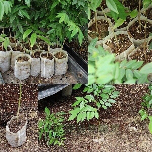 100-Piece Non-woven Seedling Bags for Flourishing Gardens