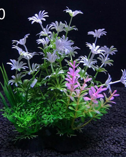 Aquatic Paradise: 12 Unique Plant Varieties for Vibrant Aquarium Landscapes
