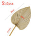 3PCS Large Dried Palm Leaves