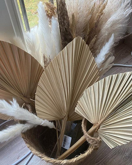 Bohemian Chic: Exquisite Palm Leaf and Pampas Grass Decor for Home and Weddings