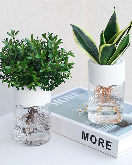 Sleek Transparent Self-Watering Vase: Modern Design for Easy Plant Care and Growth