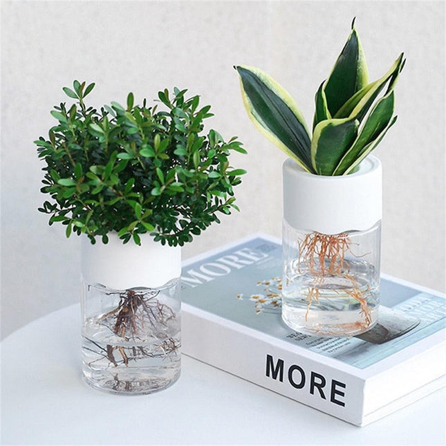 Sleek Transparent Self-Watering Vase: Modern Design for Easy Plant Care and Growth