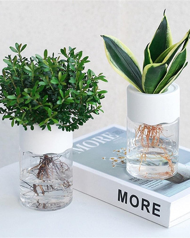 Sleek Transparent Self-Watering Vase: Modern Design for Easy Plant Care and Growth