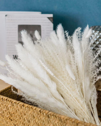 Whimsical White Pampas Grass Collection - 70-Piece Set