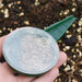 Precise Seed Planting Tool for Optimal Gardening Success