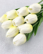 C-light yellow tulip