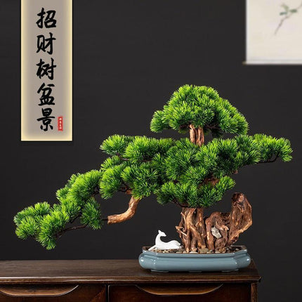 Prosperity Emblem Chinese Pine Bonsai - A Luxurious Symbol of Wealth and Abundance