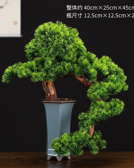 Prosperity Emblem Chinese Pine Bonsai - A Luxurious Symbol of Wealth and Abundance