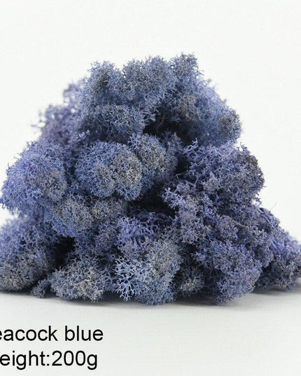 Timeless Greenery Art Creation Kit - Eternal Moss & Custom Grass Mix - 200g