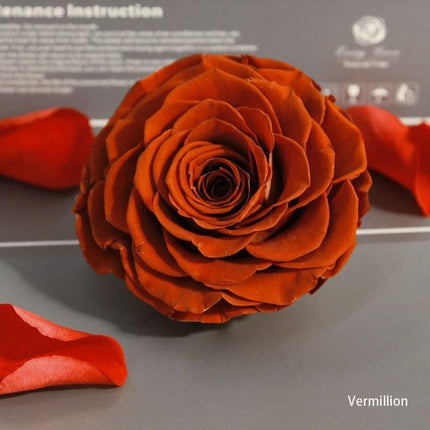 Timeless Grace: Luxurious Preserved Rose Head for Lasting Splendor