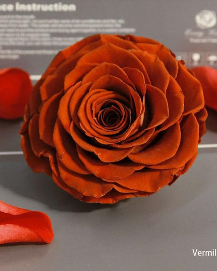 Timeless Grace: Luxurious Preserved Rose Head for Lasting Splendor