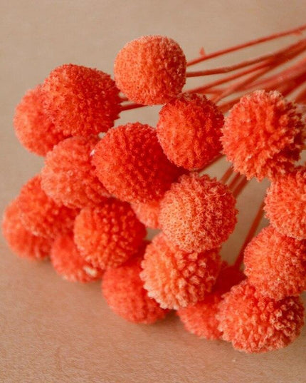 Elegant Golden Ball Dried Flower Set - 20pcs for Home and Wedding Decoration