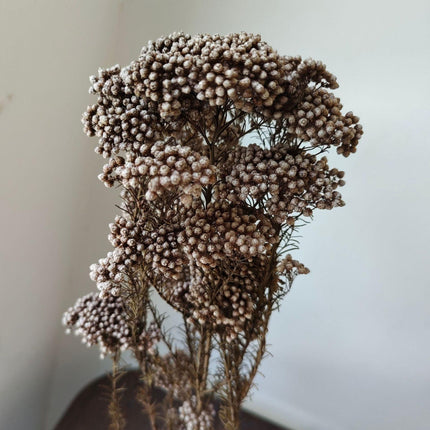 Timeless Treasures: Preserved Millet Flowers for Elegant Wedding Decor