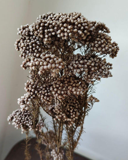 Timeless Treasures: Preserved Millet Flowers for Elegant Wedding Decor