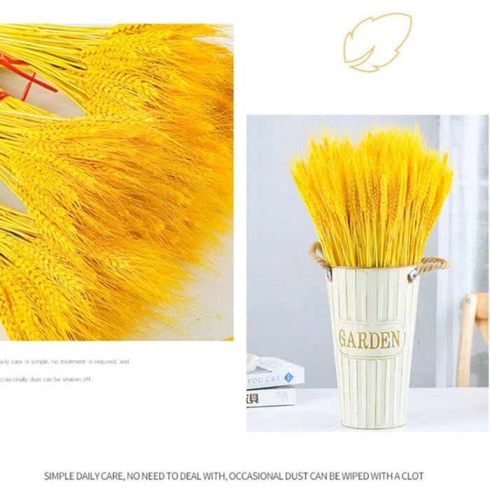 Natural Elegance Wheat Bundle - Timeless, Luxurious, and Abundant