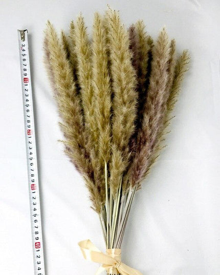 Chic Pampas Grass Home Decor Set - 15 Beautiful Dried Bouquets