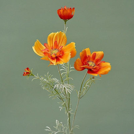 Charming Silk Queen Cosmos Flower Stem: Elegant Gesang Floral Branch