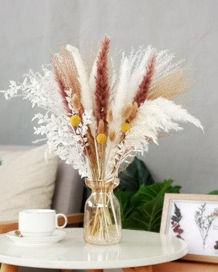 Chic 30-Piece Natural Dried Pampas Grass Rabbit Tail Bundle for Stylish Home Decor
