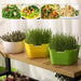 HomeGrown Harvest: Premium Sprouting Kit for Nutrient-Rich Homegrown Goodness