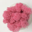 sweet pink / 100 g