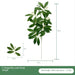 Elegant Willow Foliage: Luxurious Greenery for Upscale Home Decor