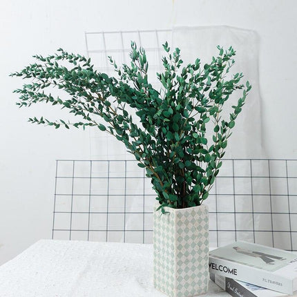 Charming Dried Eucalyptus Millet Leaf Arrangement: A Stylish Home Decor Essential