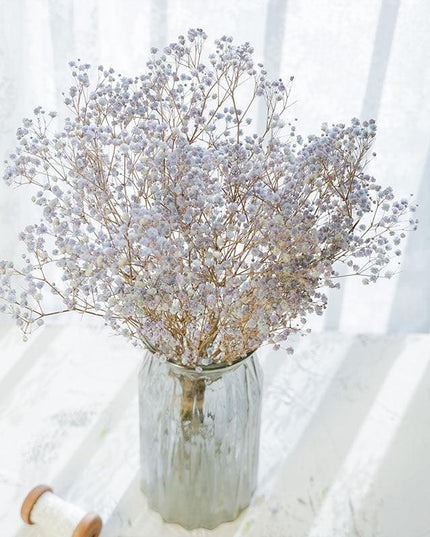 Elegant Dried Gypsophila Bouquet - Ideal for Weddings & Rustic Home Decor