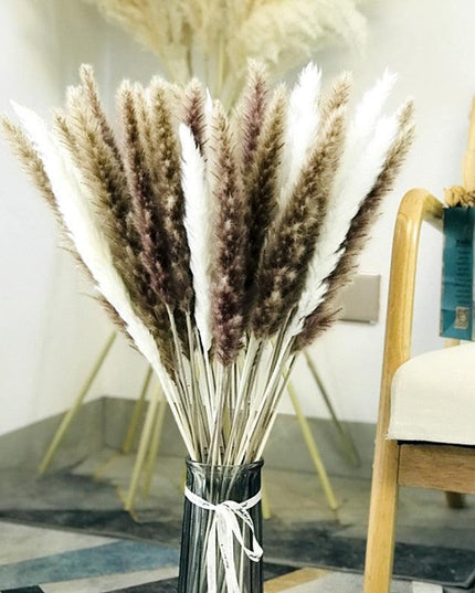 Chic Pampas Grass Home Decor Set - 15 Beautiful Dried Bouquets