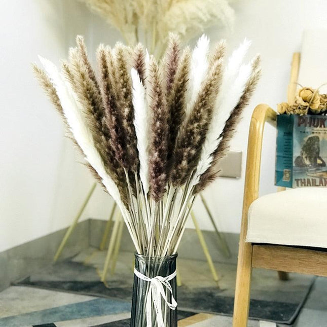 Chic Pampas Grass Home Decor Set - 15 Beautiful Dried Bouquets