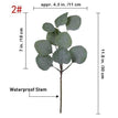 30cm-Eucalyptus / 15pcs