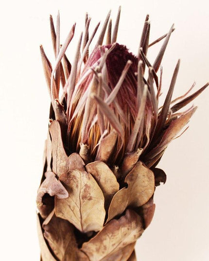 Elegant Purple and White Floral Arrangement - Premium Imported Home and Event Decor Piece