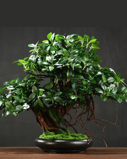 Tranquil Retreat Faux Pine Bonsai - Elegant Zen Decor Element