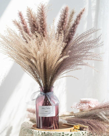 Timeless Pampas Reed & Whisk Dust Dried Flowers Collection for Elegant Home Decor & Events