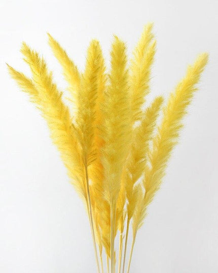 Chic Dried Pampas Grass and Reed Arrangement for Home and Wedding Decor