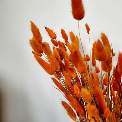 Boho Chic Dried Bunny Tail Floral Arrangement - Elegant Rustic Home Accent