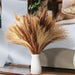 Exquisite Small Pampas Flower & Reed Grass Bouquet | Natural Dried Flowers