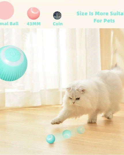 Interactive Smart Cat Ball: The Ultimate Indoor Playtime Companion for Your Cat