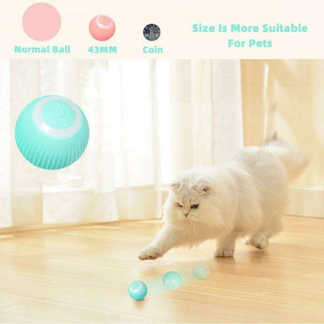 Interactive Smart Cat Ball: The Ultimate Indoor Playtime Companion for Your Cat