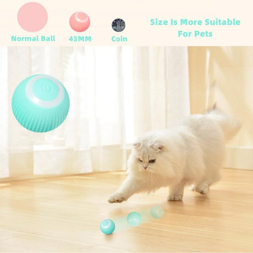Innovative Interactive Rolling Cat Toys for Engaging Indoor Playtime