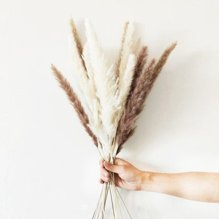 Elegant Dried Pampas Grass Arrangement for Trendy Home Styling
