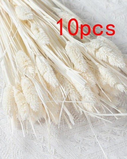 Boho-Inspired Pampas Grass Arrangement: Perfect for Weddings and Home Styling