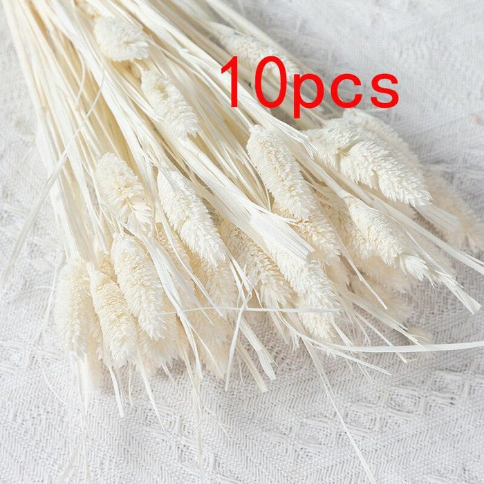 Boho-Inspired Pampas Grass Arrangement: Perfect for Weddings and Home Styling