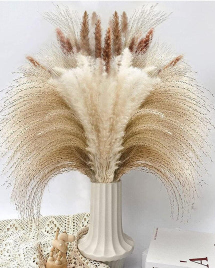 Bohemian Dream Pampas Grass Set - 95/60 Stem Collection