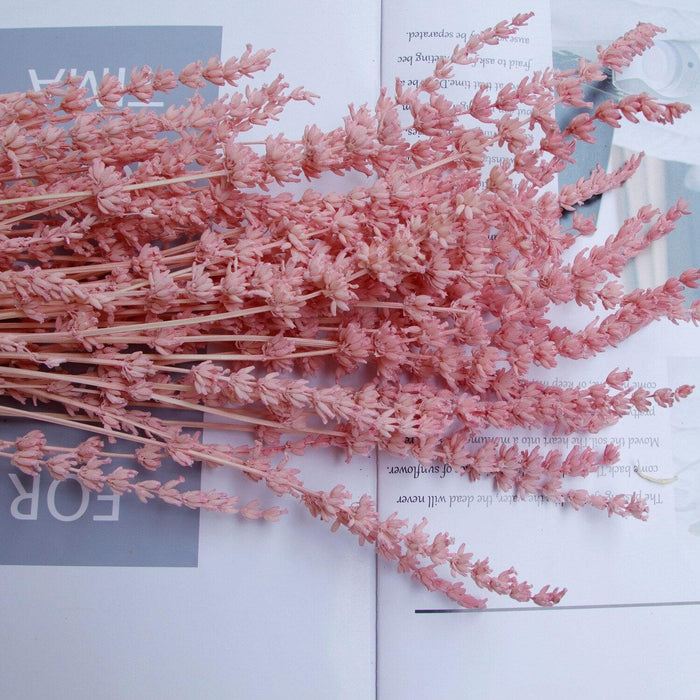Elegance in Bloom: Exquisite Dried Lavender Bouquet for Weddings and Home Aesthetics