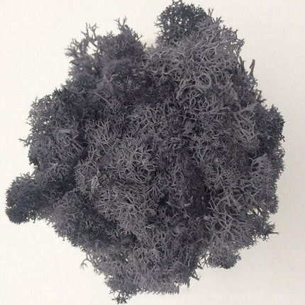 Timeless Elegance Moss Collection: Luxurious Artificial Plants for Upscale Home Decor