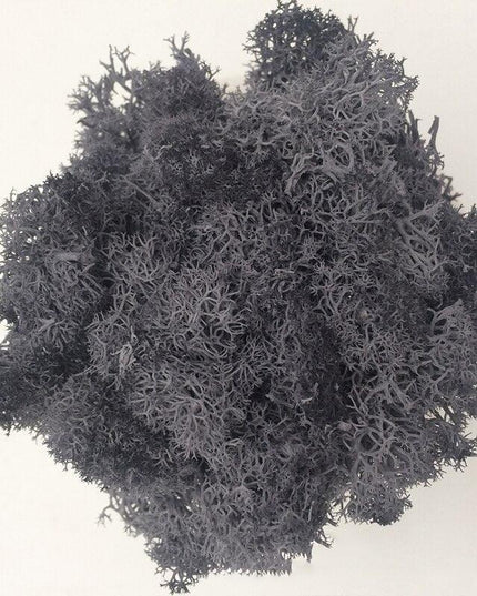 Timeless Elegance Moss Collection: Luxurious Artificial Plants for Upscale Home Decor