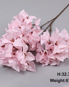 3-pronged bougainvil