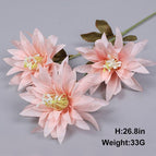 3 large claw chrysan