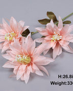 3 large claw chrysan